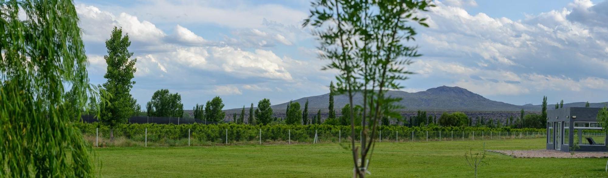 Valle Del Atuel *